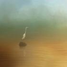 Egret at Sea