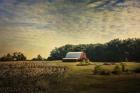 Red Barn At The Cotton Field