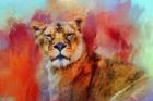 Colorful Expressions Lioness