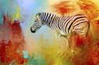 Colorful Expressions Zebra