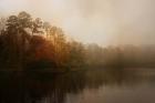 Foggy Morning At Lake LaJoie