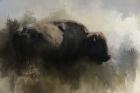 Abstract American Bison