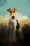 Fox Terrier On Alert