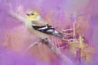 Abstract Goldfinch
