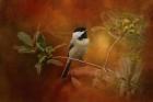 Autumn Day Chickadee