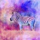 Jazzy Zebra Pink And Purple