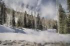Winter Impressions In Colorado 9