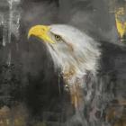 The Mighty Bald Eagle