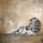 Zebra At Rest
