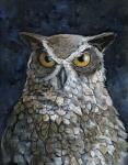 Great Horned Owl