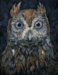 Screech Owl