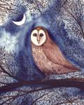 Midnight Owl