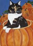 Matisse In A Pumpkin