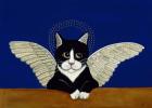 Angel Cat