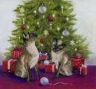 Christmas Siamese Cats
