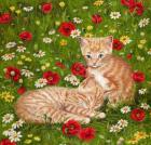 Ginger Kittens In Red Poppies