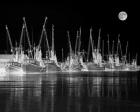 Shrimp Boats Asleep