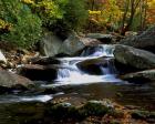 Little River Elkmont #2