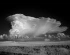 Thunderhead