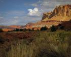 Capital Reef, UT