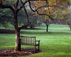 Place to Sit