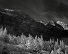 Glacier Park I