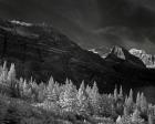 Glacier Park I