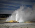 Geyser Yellowstone