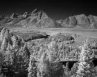 Tetons IV