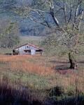 Hay Barn