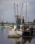 Shrimp Boats