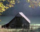 #54 P Cades Cove Barn