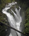 241 Olympic NP