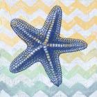 Chevron Star Fish