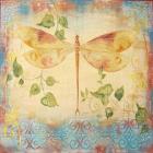 Aqua Dreams Dragonfly