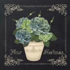 Fleur Hortensia