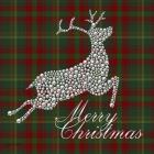 Merry Christmas Plaid