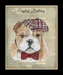 English Bulldog