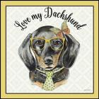 Dachshund