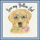 Yellow Lab