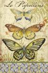 Vintage Wings - Le Papillons