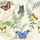 Butterflies In The Garden