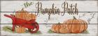Pumpkin Patch-A