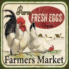 Farm Fresh Eggs