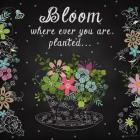 Bloom Where Planted