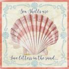 Sea Shells  -  A