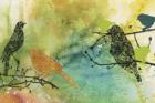 Birds On Watercolor  -  A