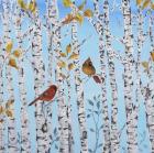 Cardinals Among The Birch  -  A