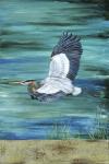 Great Blue - Heron - 3