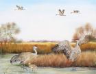 Sandhill Cranes - A